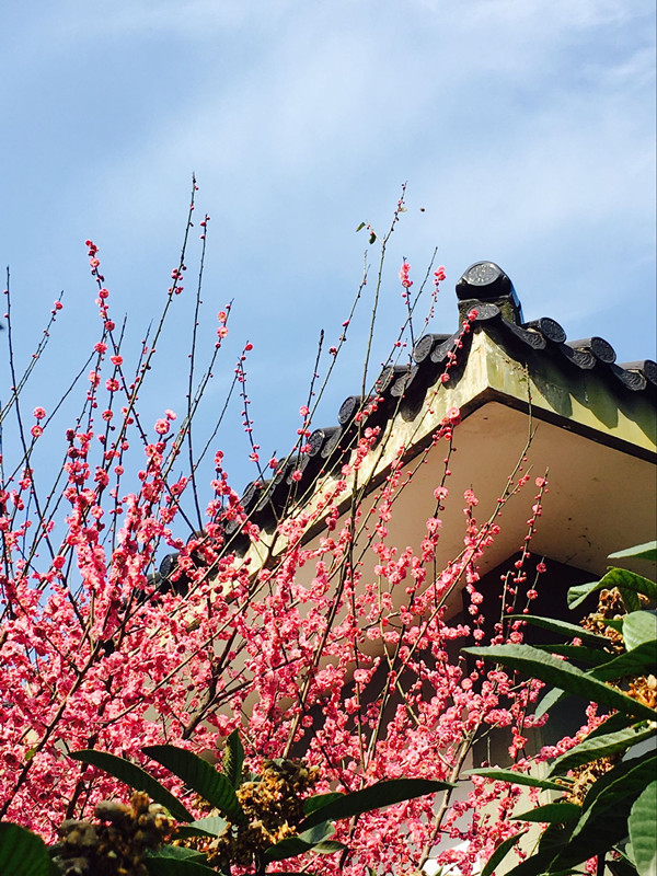 dsc_0231_副本.jpg