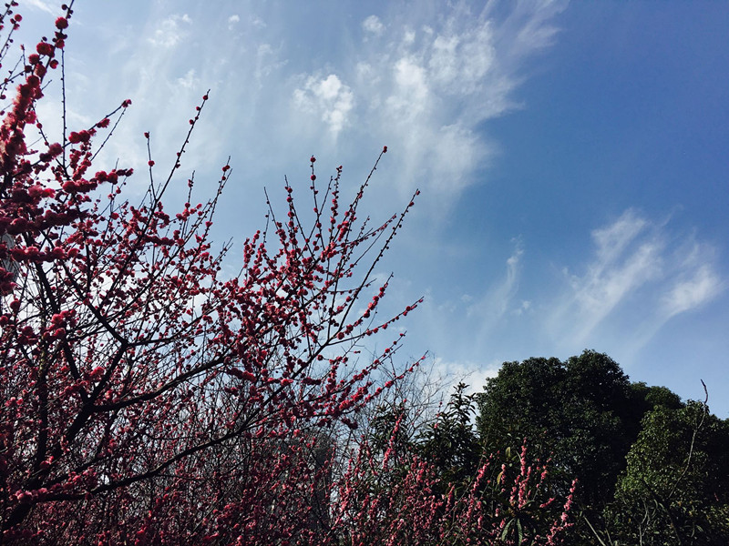dsc_0234_副本.jpg