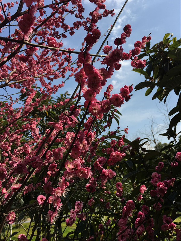 dsc_0245_副本.jpg