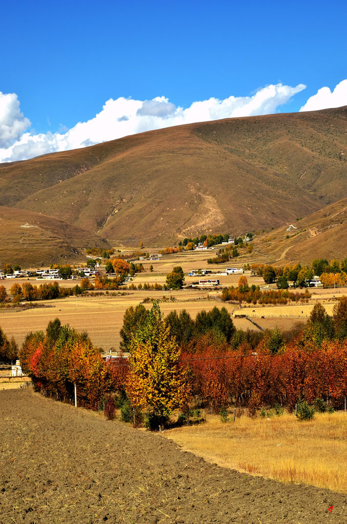 dsc_1918.jpg