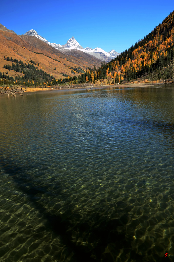 dsc_2370.jpg