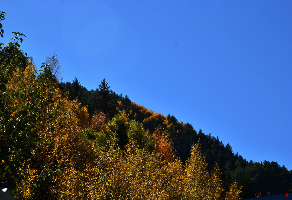 dsc_2643.jpg