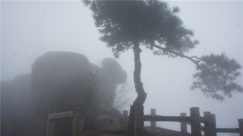 dsc06954_.jpg