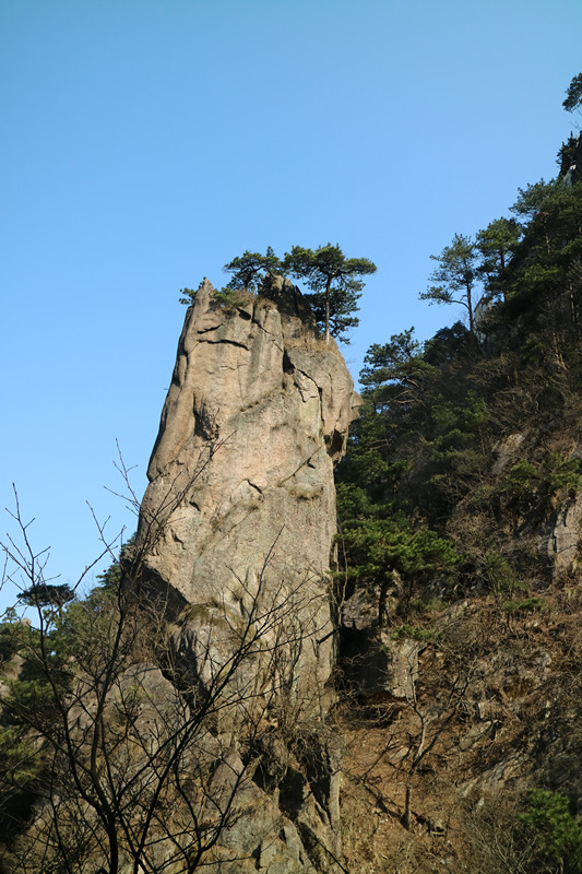 img_6678_.jpg