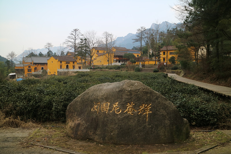 img_6733_副本.jpg