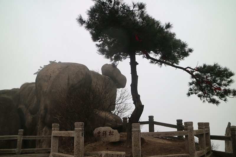 img_6773_副本.jpg