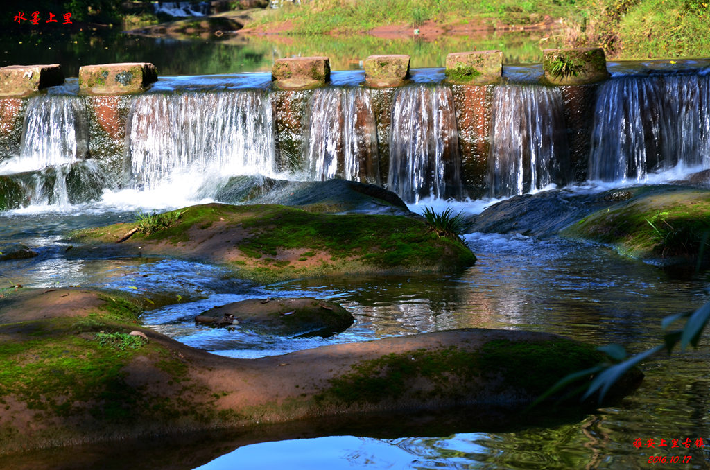 dsc_0266.jpg
