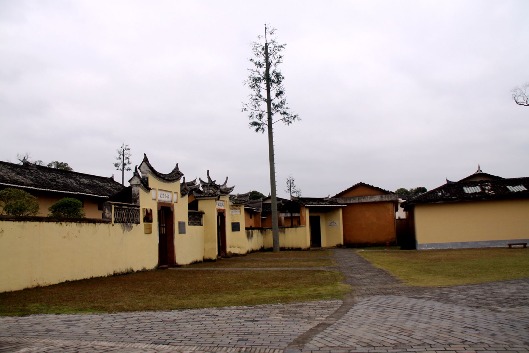 gmy 906_.jpg