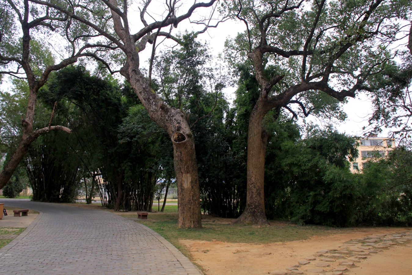 gmy 922_.jpg