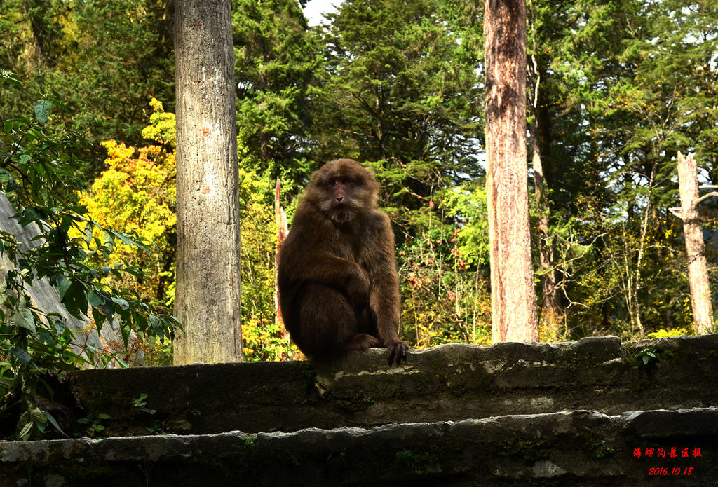 dsc_0778.jpg
