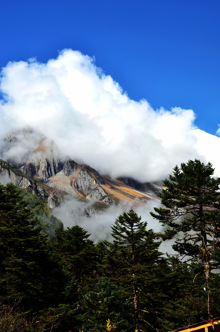 dsc_0716.jpg