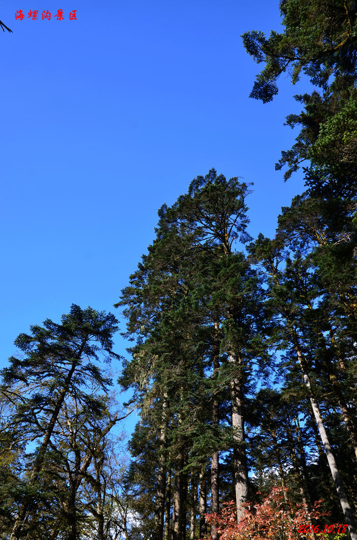 dsc_0450.jpg