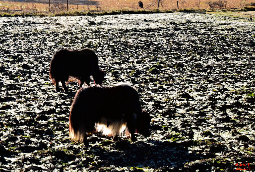 dsc_0892.jpg