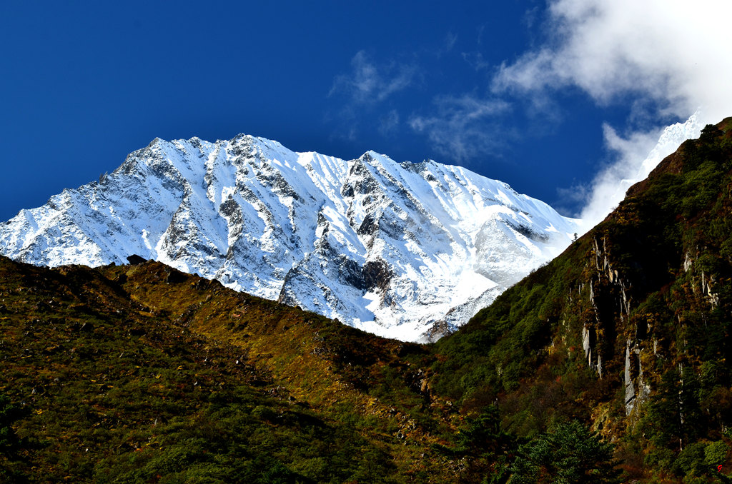dsc_0613.jpg
