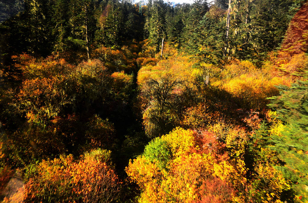 dsc_0495.jpg