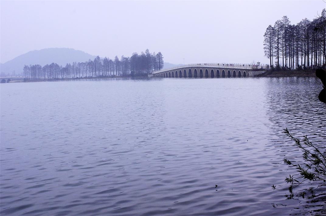 _igp9534.jpg