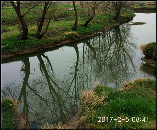 img_20170205_105344.jpg