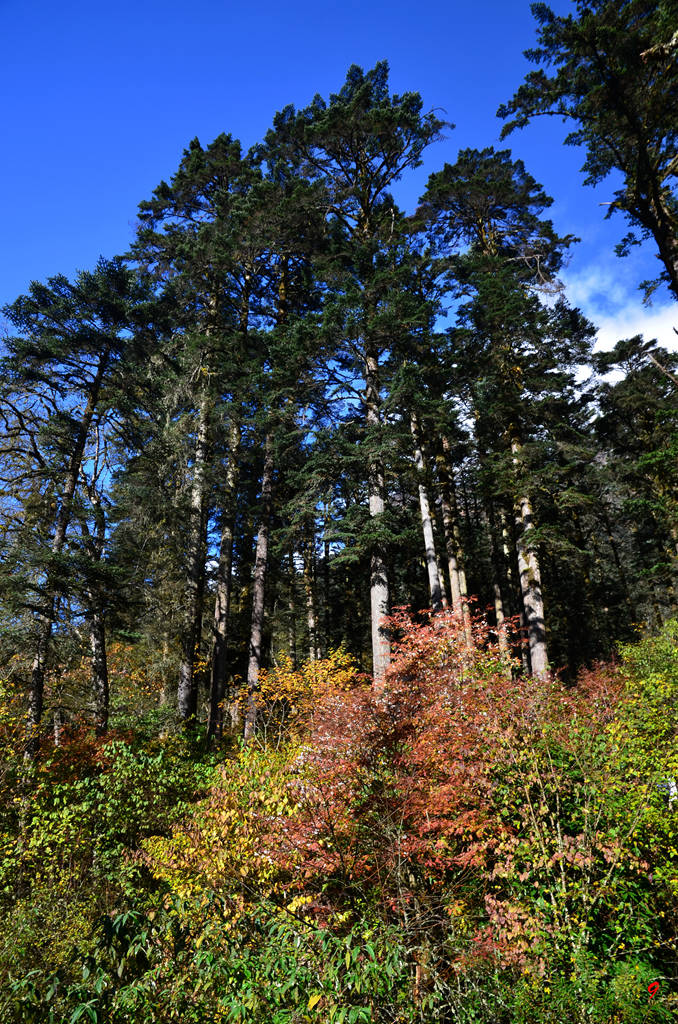 dsc_0449.jpg