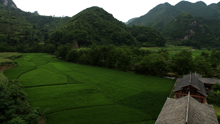 img_7241_副本.jpg