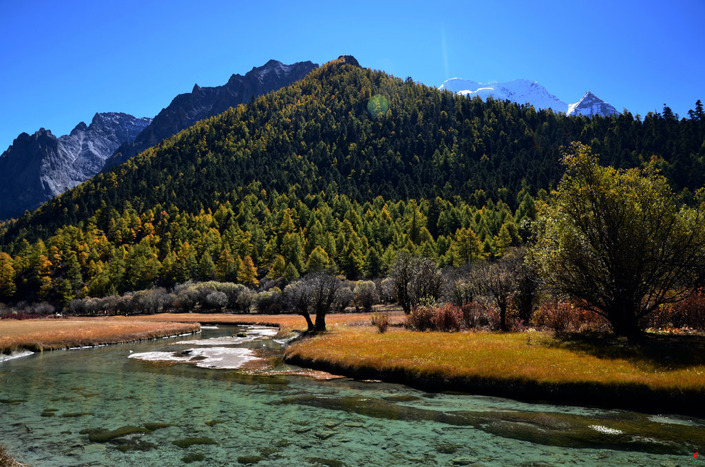 dsc_1170.jpg