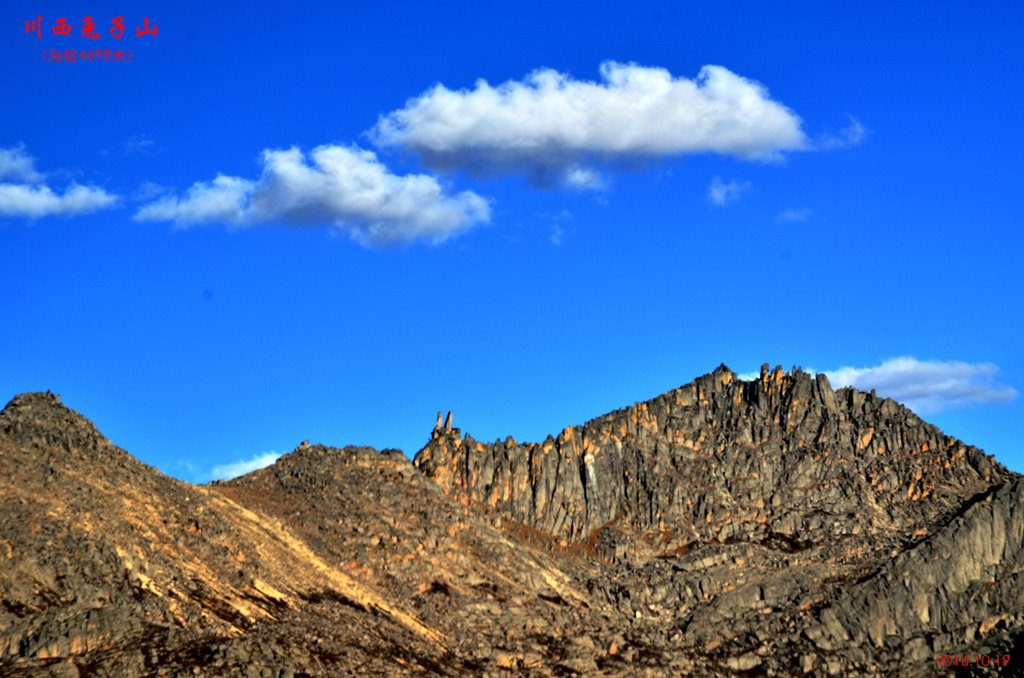 dsc_0986.jpg