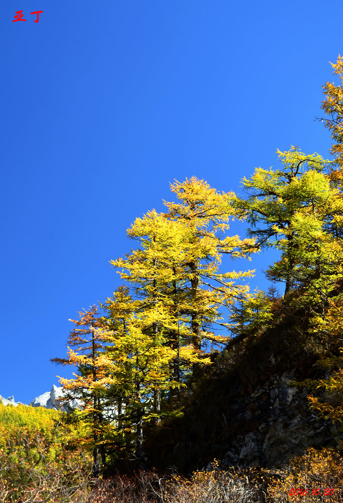 dsc_1213.jpg
