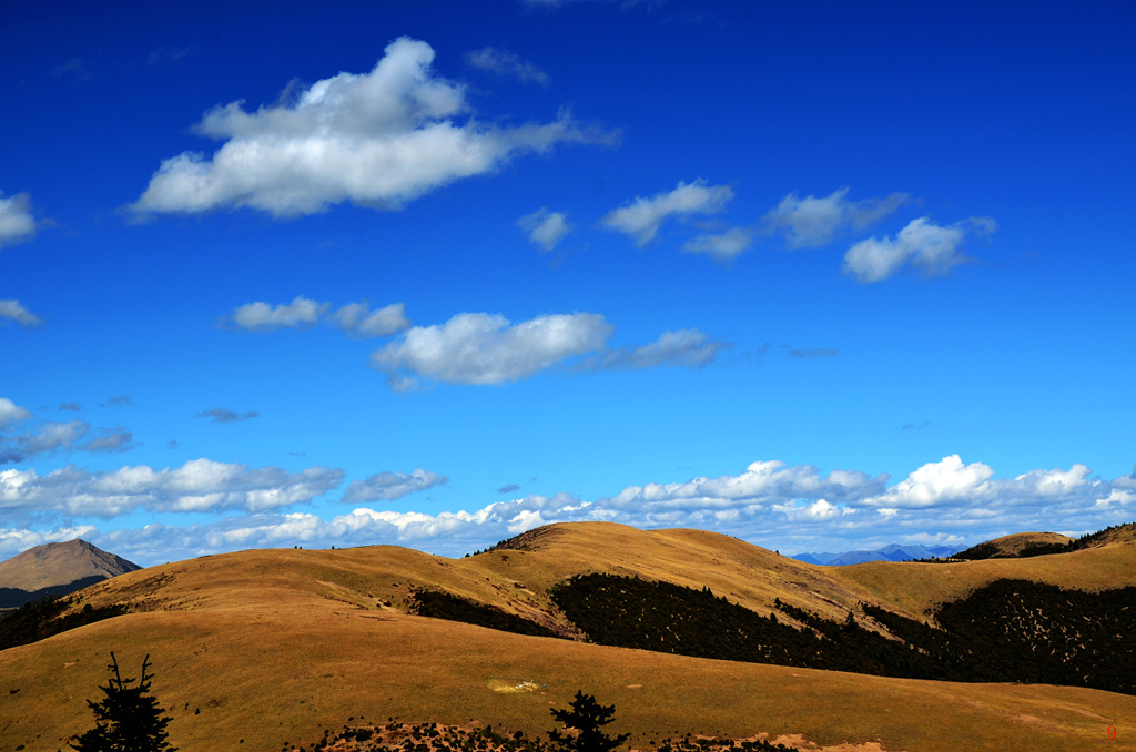 dsc_0940.jpg