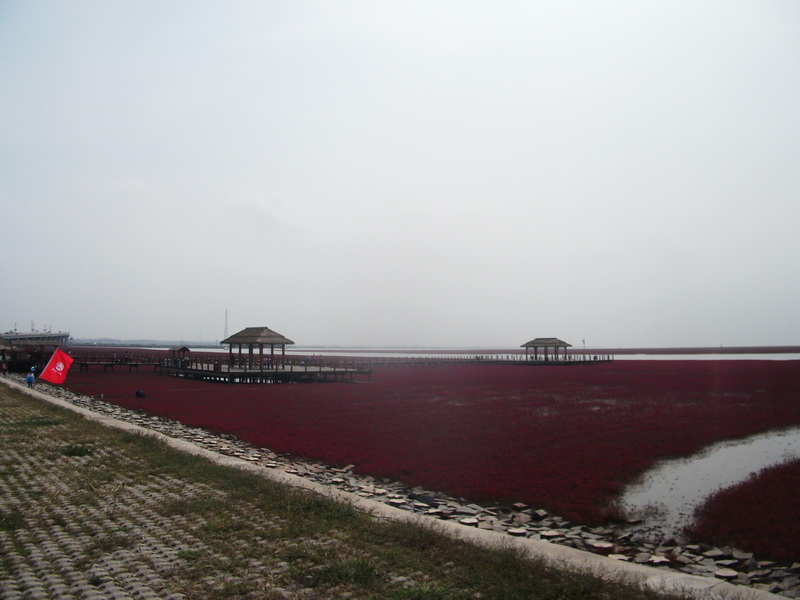 dscf0126.jpg