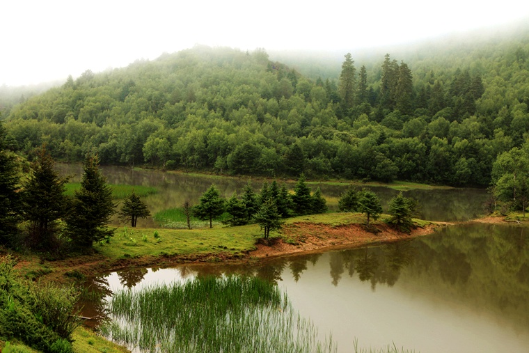 img_7984_副本.jpg