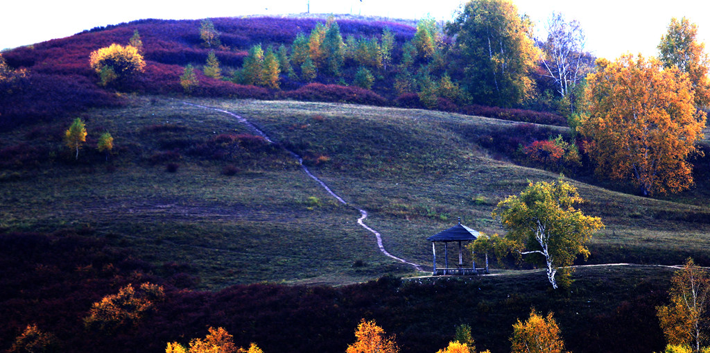 img_8638_副本_副本.jpg