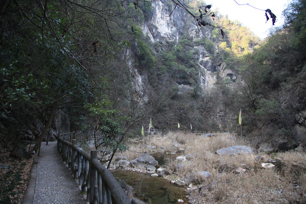 img_6314.jpg