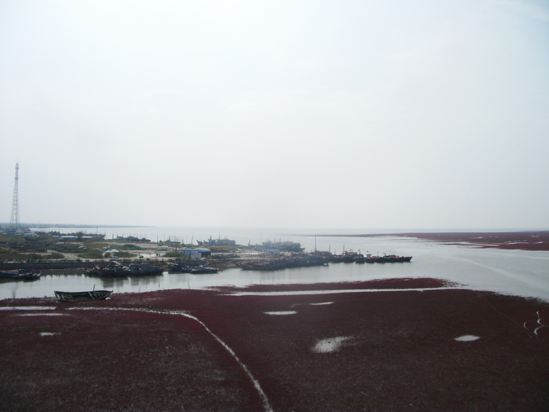 dscf0136.jpg