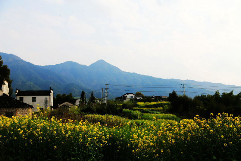 img_9896__.jpg