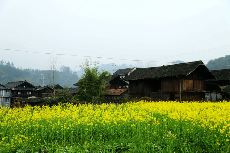 img_8221__.jpg