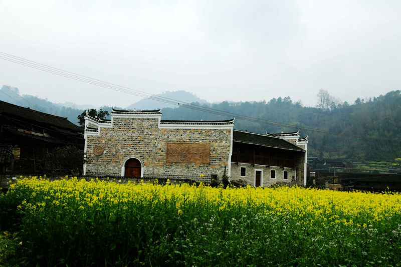 img_8219__.jpg