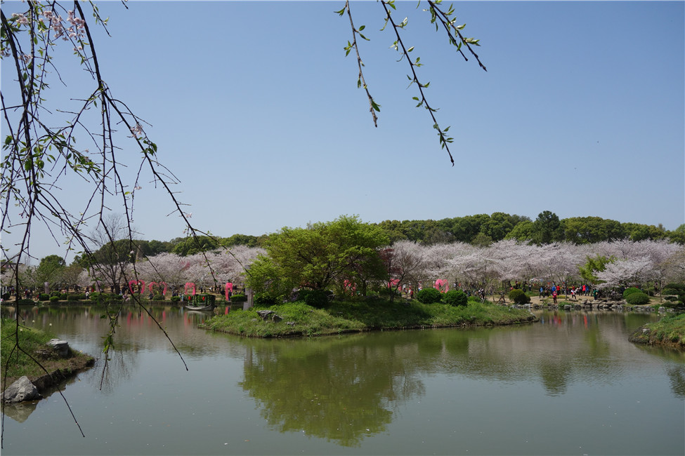 dsc00032.jpg