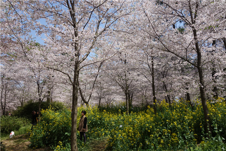 dsc00051_2.jpg