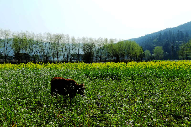 img_8528__.jpg
