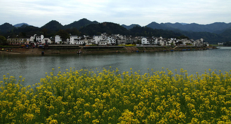 img_6590__.jpg
