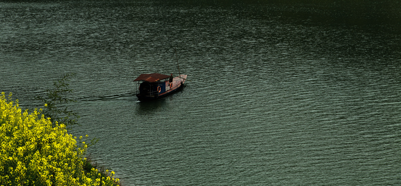 img_6659__.jpg