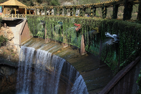 img_6437.jpg
