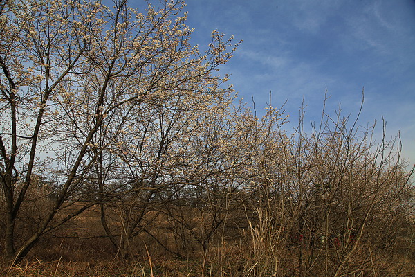 img_6655.jpg