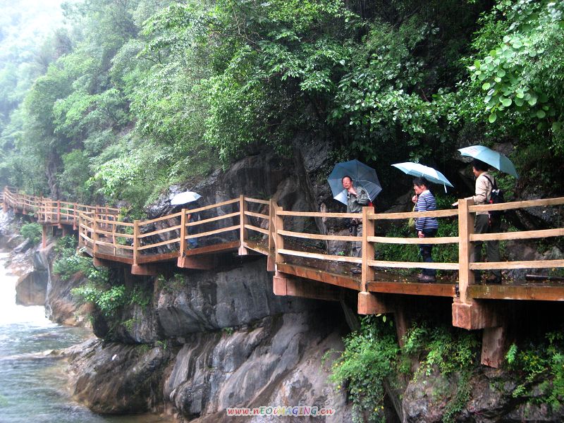 201067173129237001.jpg