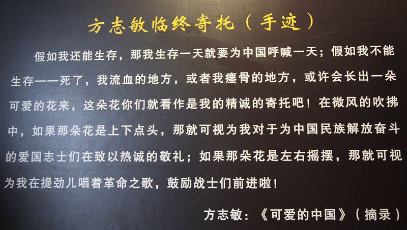 img_7878.jpg