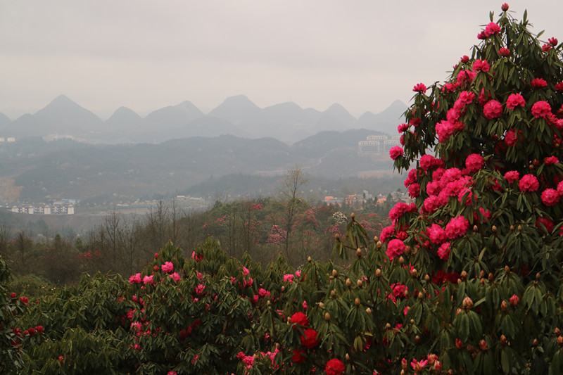 img_7633_副本.jpg