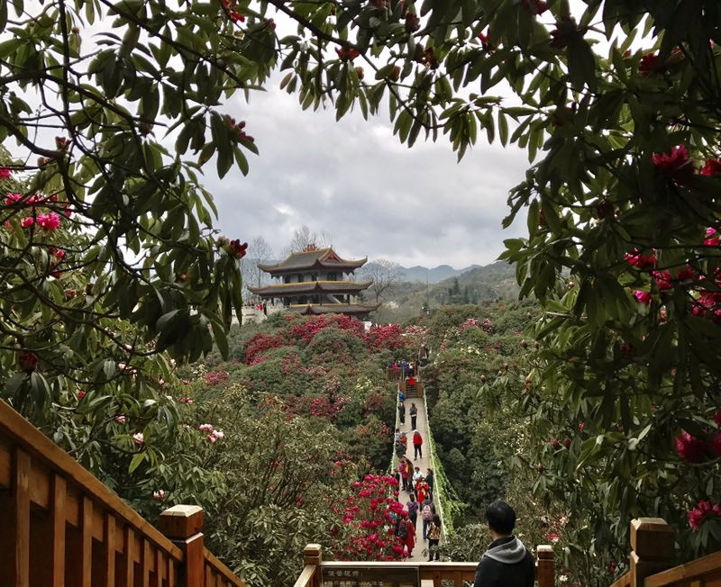 mmexport1490882419581_副本.jpg