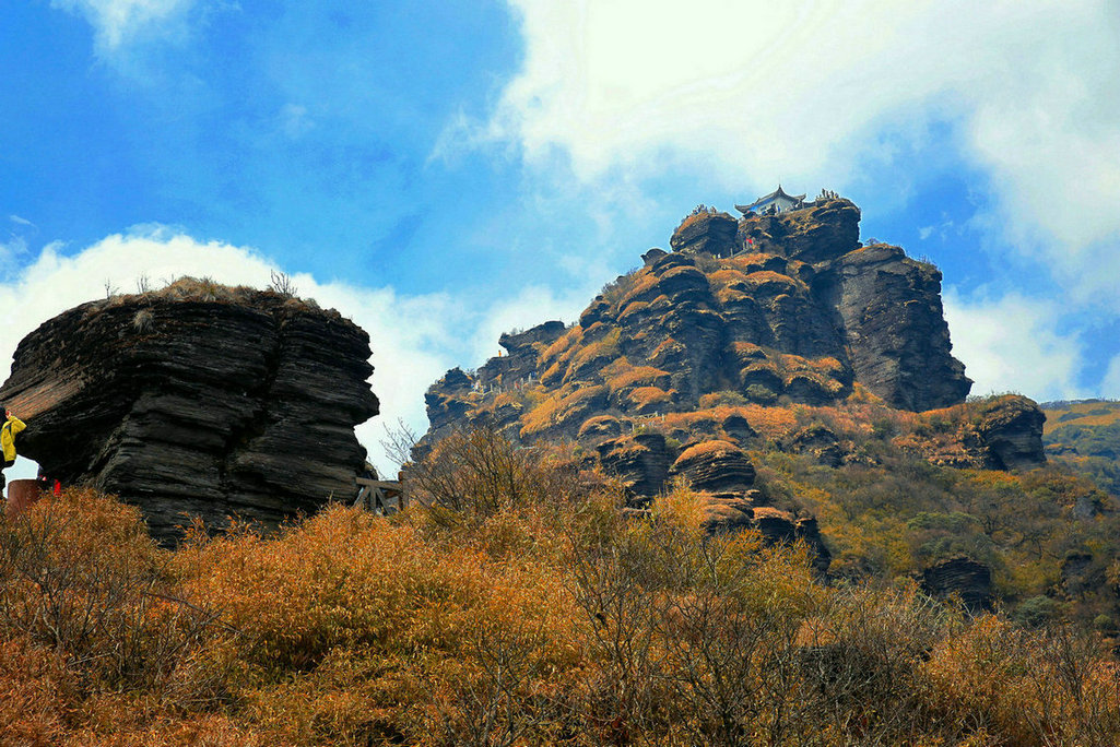 _45a0038_mix01.jpg
