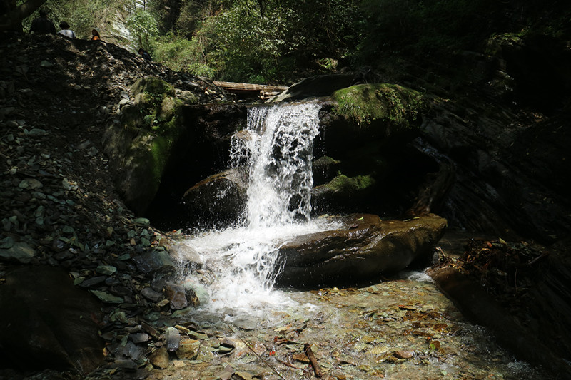 img_7981_副本.jpg