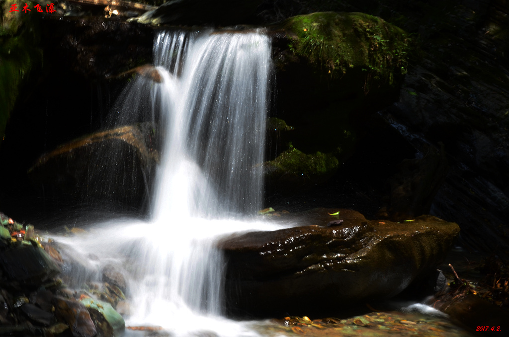 dsc_6936.jpg