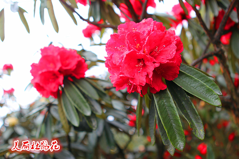 img_8929_副本123.jpg
